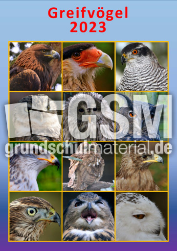 Greifvögel_2023_1.pdf